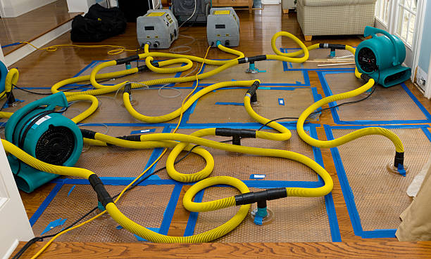 Professional Crawl Space Water Removal technician working in Harlan, IN